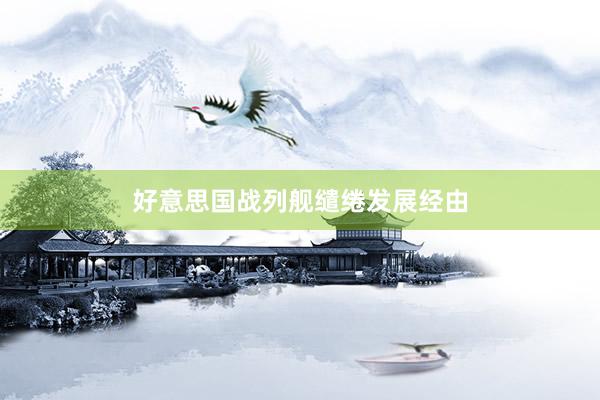好意思国战列舰缱绻发展经由